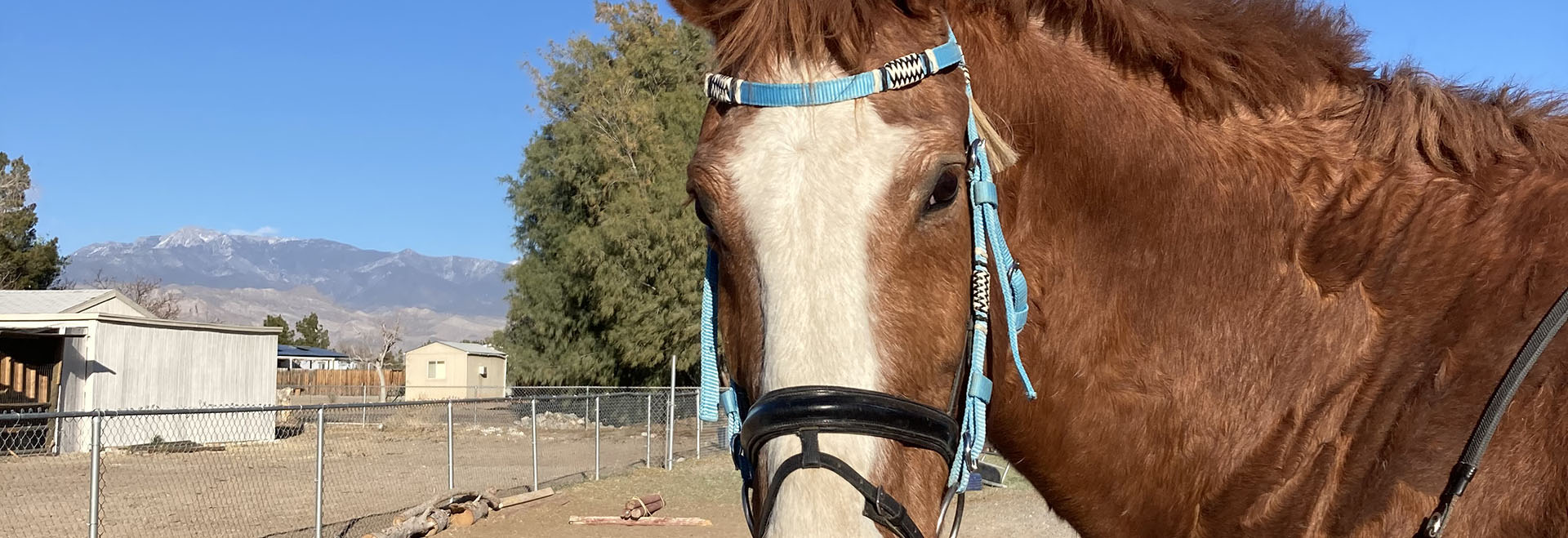 trail ride